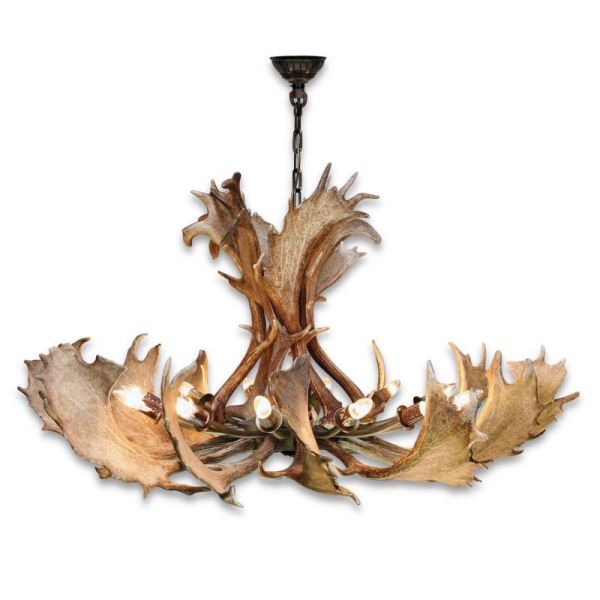 Lampadario con vere corna di daino. Luci: 12xE14 M: 140x120x100cm 154006