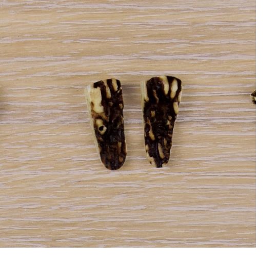 10x Bottone in vero corno di cervo. Misura: 30mm - 1854