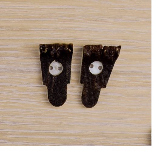 10x Bottone in vero corno di cervo. Misura: 30mm - 1856