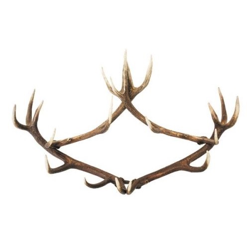 Colgadero con real cuerno de ciervo. 100x75cm 119915