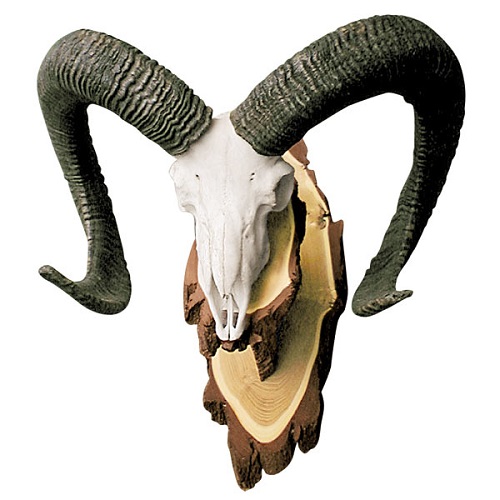 Muflon