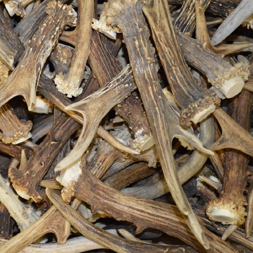 1Kg Corna di capriolo MIX. corno, caccia, cervo, decorazione IT