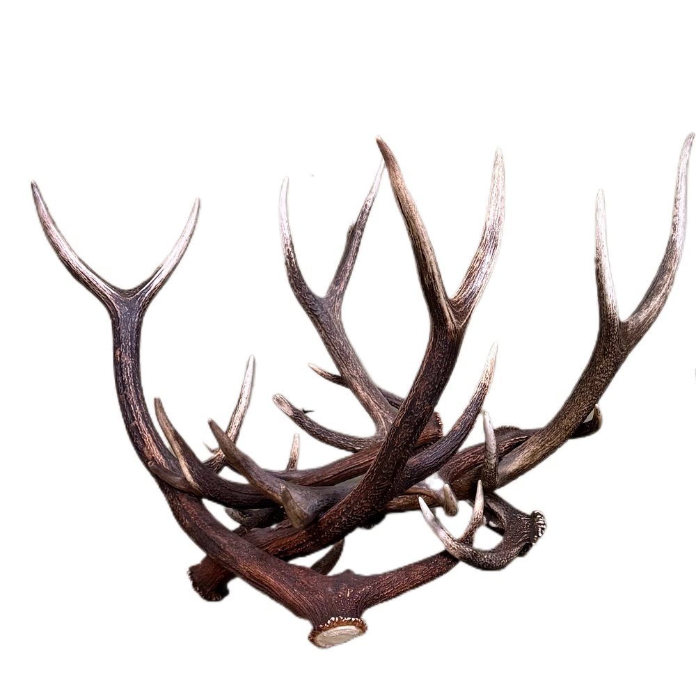 Cesto porta legna in corna di cervo 17_5201