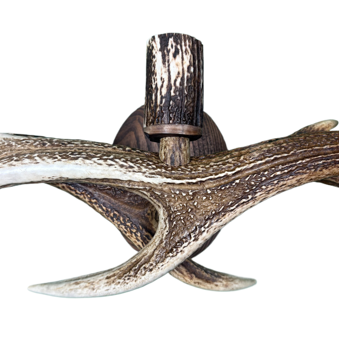 Applique, lampada da parete con vero corno di cervo sika. 3xE14 17x48cm 153412