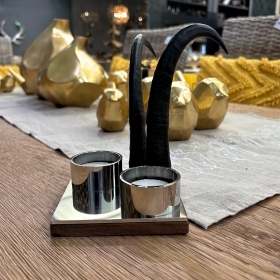 Candeliere con vere corna di camoscio. Decorazione. Cha