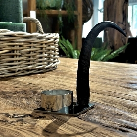 Candles holder with real chamois horn. Decoration. Chal